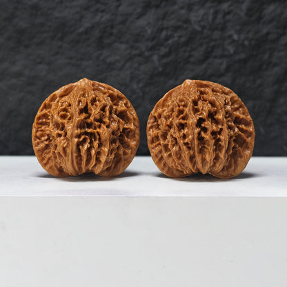 "Coiled Dragon Pattern" Pan Long Wen SZ-SS-023905 Masterpiece Wenwan Walnuts Pair | 44.0mm x 37.0mm | SZ-SS-023905