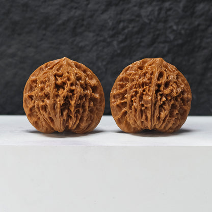 "Coiled Dragon Pattern" Pan Long Wen SZ-SS-023905 Masterpiece Wenwan Walnuts Pair | 44.0mm x 37.0mm | SZ-SS-023905