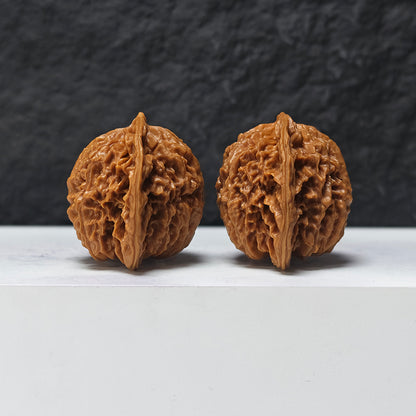 "Coiled Dragon Pattern" Pan Long Wen SZ-SS-023905 Masterpiece Wenwan Walnuts Pair | 44.0mm x 37.0mm | SZ-SS-023905
