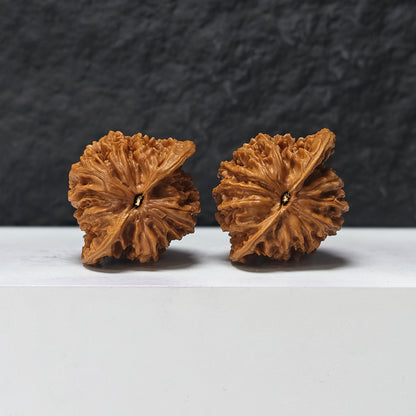 "Coiled Dragon Pattern" Pan Long Wen SZ-SS-023905 Masterpiece Wenwan Walnuts Pair | 44.0mm x 37.0mm | SZ-SS-023905