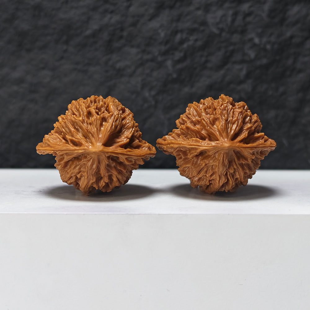 "Coiled Dragon Pattern" Pan Long Wen SZ-SS-023905 Masterpiece Wenwan Walnuts Pair | 44.0mm x 37.0mm | SZ-SS-023905