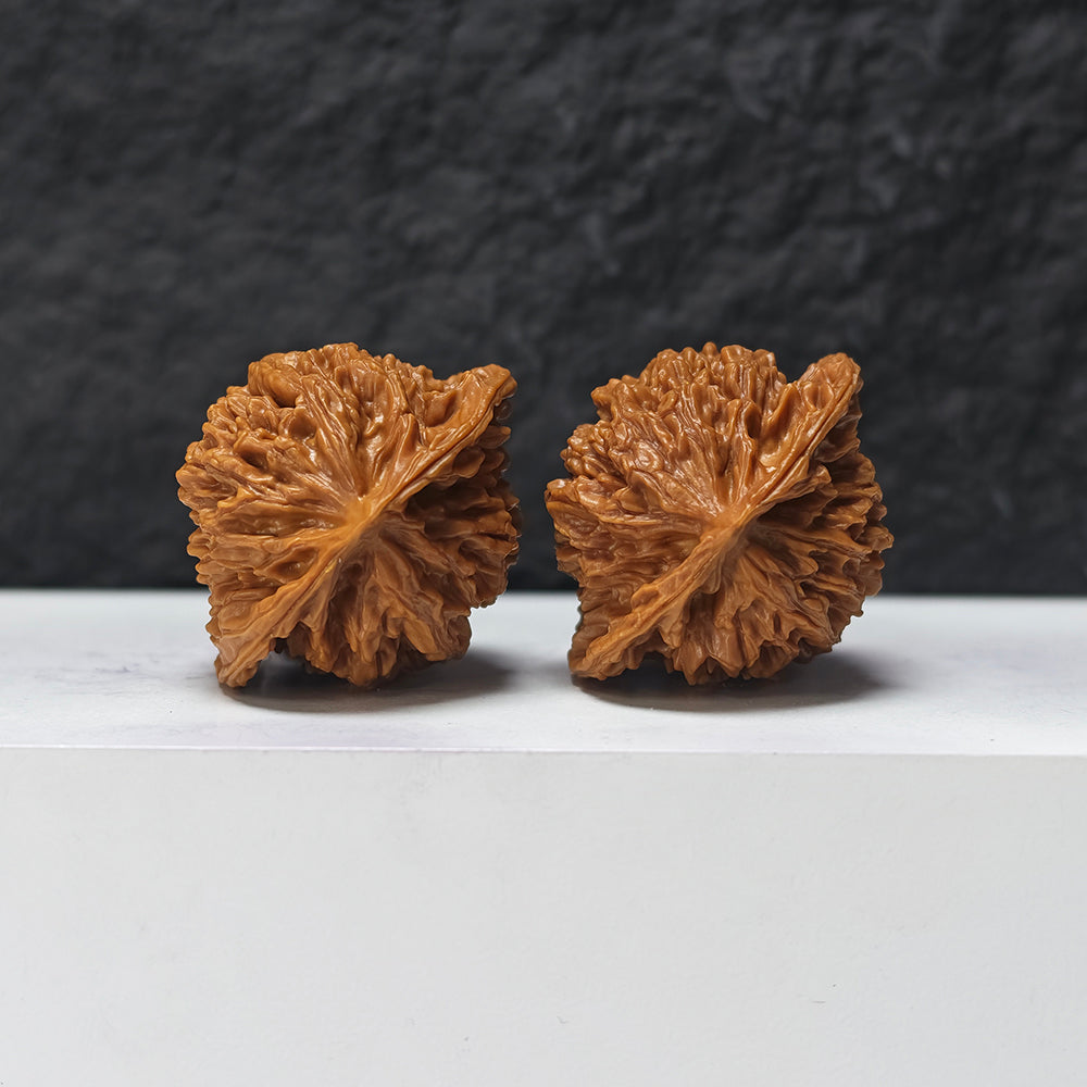"Coiled Dragon Pattern" Pan Long Wen SZ-SS-023905 Masterpiece Wenwan Walnuts Pair | 44.0mm x 37.0mm | SZ-SS-023905