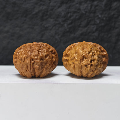 "Pumpkin Dun" Nan Gua Dun SZ-SSS-013889 Masterpiece Wenwan Walnuts Pair | 43.0mm x 48.0mm | SZ-SSS-013889