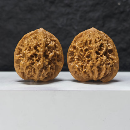 "Gecko" Bi Hu HT-SS-005888 Masterpiece Wenwan Walnuts Pair | 45.0mm x 42.0mm | HT-SS-005888