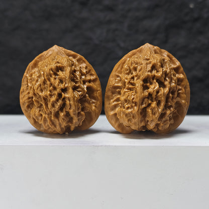 "Gecko" Bi Hu HT-SS-005888 Masterpiece Wenwan Walnuts Pair | 45.0mm x 42.0mm | HT-SS-005888