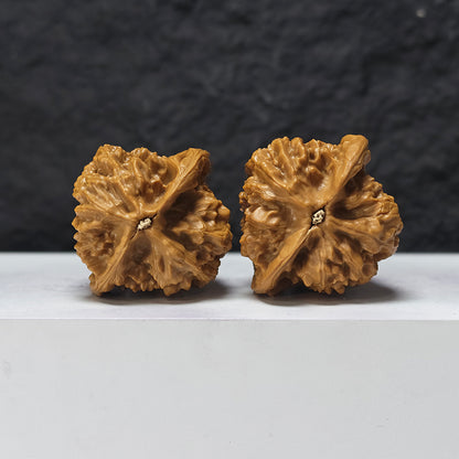 "Gecko" Bi Hu HT-SS-005888 Masterpiece Wenwan Walnuts Pair | 45.0mm x 42.0mm | HT-SS-005888