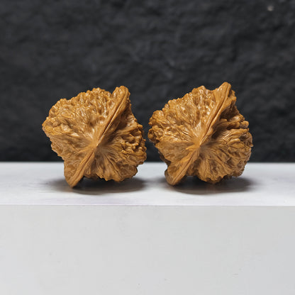 "Gecko" Bi Hu HT-SS-005888 Masterpiece Wenwan Walnuts Pair | 45.0mm x 42.0mm | HT-SS-005888