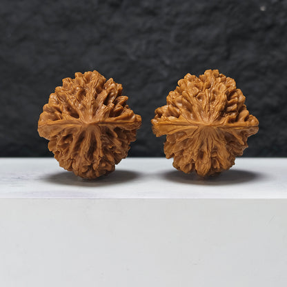"Nine-Story Demon Tower" Jiu Ceng Yao Ta JX-SS-004915 Masterpiece Wenwan Walnuts Pair | 43.0mm x 43.0mm | JX-SS-004915