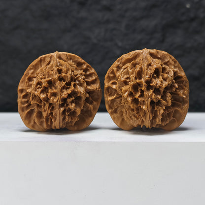 "Shaanxi Official's Hat" Shaanxi Guan Mao GM-SS-006891 Masterpiece Wenwan Walnuts Pair | 46.0mm x 42.0mm | GM-SS-006891