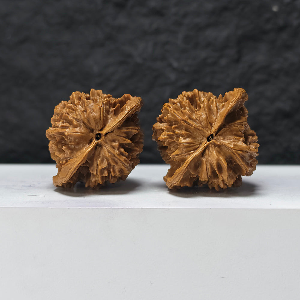 "Shaanxi Official's Hat" Shaanxi Guan Mao GM-SS-006891 Masterpiece Wenwan Walnuts Pair | 46.0mm x 42.0mm | GM-SS-006891