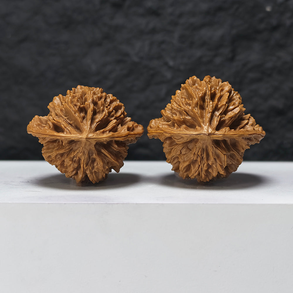 "Shaanxi Official's Hat" Shaanxi Guan Mao GM-SS-006891 Masterpiece Wenwan Walnuts Pair | 46.0mm x 42.0mm | GM-SS-006891