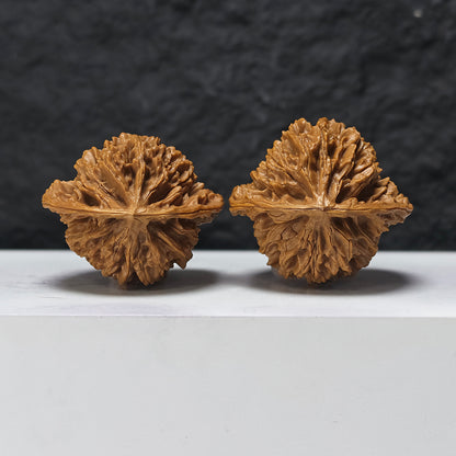 "Shaanxi Official's Hat" Shaanxi Guan Mao GM-SS-006891 Masterpiece Wenwan Walnuts Pair | 46.0mm x 42.0mm | GM-SS-006891