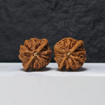 "Peach Heart Palace Lantern" Tao Xin Gong Deng GM-SS-007895 Masterpiece Wenwan Walnuts Pair | 43.0mm x 40.0mm | GM-SS-007895