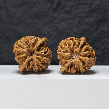 "Jade Qilin" Yu Qi Lin SZ-SSS-015893 Masterpiece Wenwan Walnuts Pair | 47.0mm x 44.0mm | SZ-SSS-015893