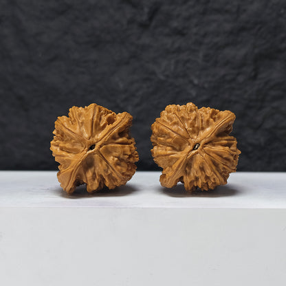 "Gazing at the Moon" Wang Yue SZ-SS-022902 Masterpiece Wenwan Walnuts Pair | 43.0mm x 41.0mm | SZ-SS-022902