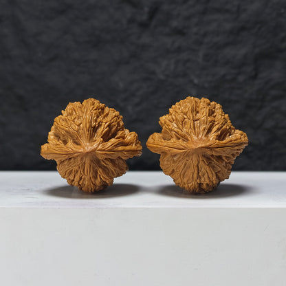 "Gazing at the Moon" Wang Yue SZ-SS-022902 Masterpiece Wenwan Walnuts Pair | 43.0mm x 41.0mm | SZ-SS-022902