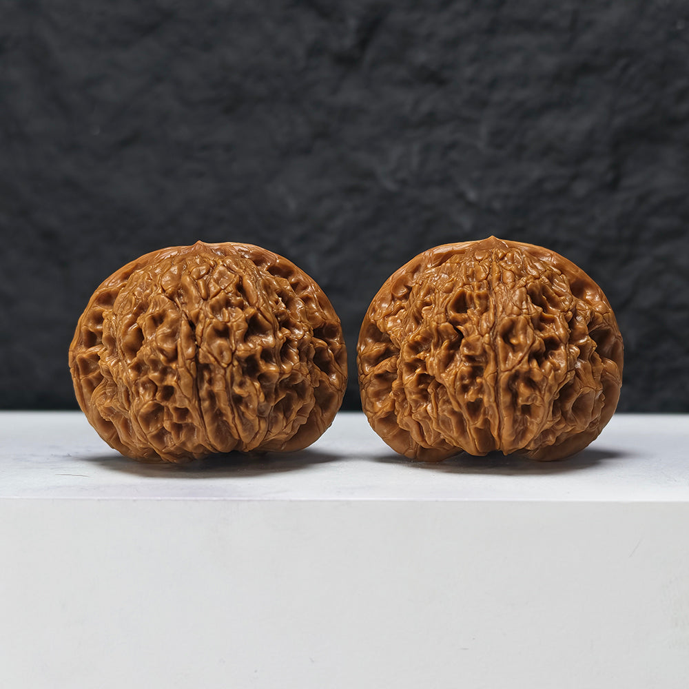"Squat Water Dragon Pattern" Shui Long Wen Ai Zhuang SZ-SS-024917 Masterpiece Wenwan Walnuts Pair | 48.0mm x 40.0mm | SZ-SS-024917