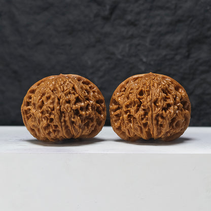 "Squat Water Dragon Pattern" Shui Long Wen Ai Zhuang SZ-SS-024917 Masterpiece Wenwan Walnuts Pair | 48.0mm x 40.0mm | SZ-SS-024917