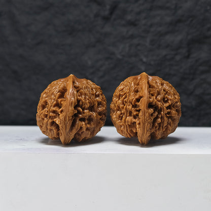 "Squat Water Dragon Pattern" Shui Long Wen Ai Zhuang SZ-SS-024917 Masterpiece Wenwan Walnuts Pair | 48.0mm x 40.0mm | SZ-SS-024917