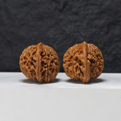 "Squat Water Dragon Pattern" Shui Long Wen Ai Zhuang SZ-SS-024917 Masterpiece Wenwan Walnuts Pair | 48.0mm x 40.0mm | SZ-SS-024917