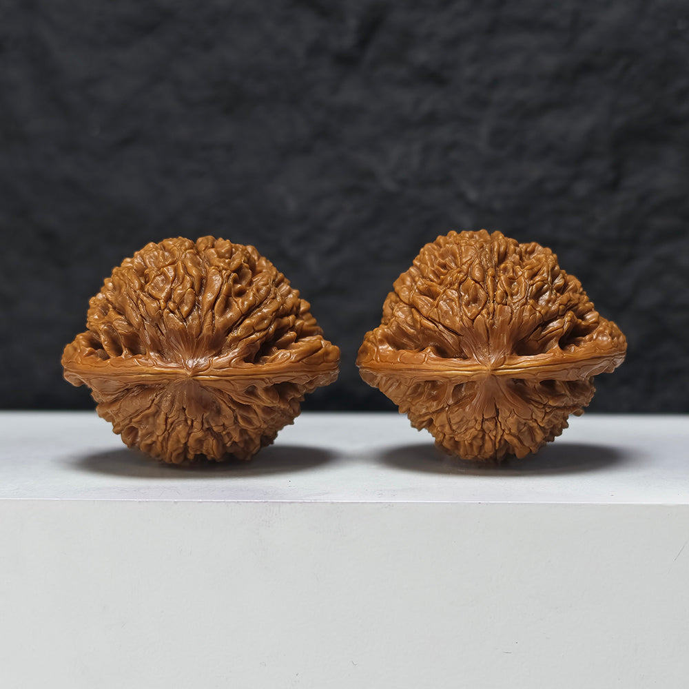 "Squat Water Dragon Pattern" Shui Long Wen Ai Zhuang SZ-SS-024917 Masterpiece Wenwan Walnuts Pair | 48.0mm x 40.0mm | SZ-SS-024917