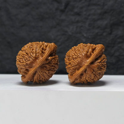 "Squat Water Dragon Pattern" Shui Long Wen Ai Zhuang SZ-SS-024917 Masterpiece Wenwan Walnuts Pair | 48.0mm x 40.0mm | SZ-SS-024917
