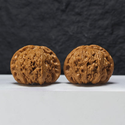 "Recessed-Tip White Lion Head" Men Jian Bai Shi Zi BSZ-SSSS-001906 Museum Collector Wenwan Walnuts Pair | 48.0mm x 46.0mm | BSZ-SSSS-001906