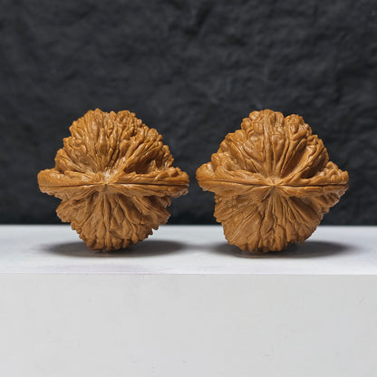 "Recessed-Tip White Lion Head" Men Jian Bai Shi Zi BSZ-SSSS-001906 Museum Collector Wenwan Walnuts Pair | 48.0mm x 46.0mm | BSZ-SSSS-001906