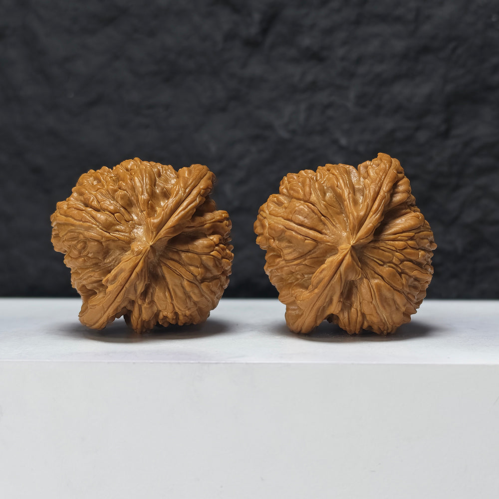 "Recessed-Tip White Lion Head" Men Jian Bai Shi Zi BSZ-SSSS-001906 Museum Collector Wenwan Walnuts Pair | 48.0mm x 46.0mm | BSZ-SSSS-001906