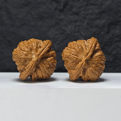 "Recessed-Tip White Lion Head" Men Jian Bai Shi Zi BSZ-SSSS-001906 Museum Collector Wenwan Walnuts Pair | 48.0mm x 46.0mm | BSZ-SSSS-001906