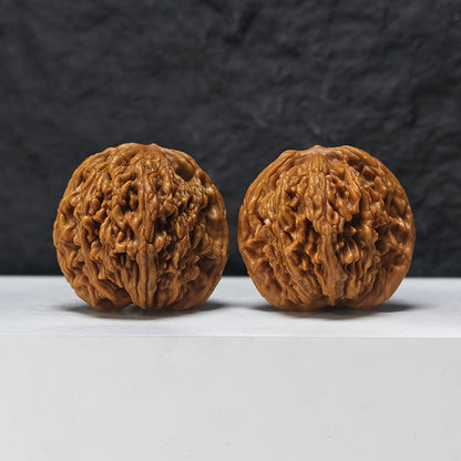 "Lion Tiger Beast" Shi Hu Shou HT-SSSS-001884 Supreme Masterpiece Wenwan Walnuts Pair | 46.0mm x 42.0mm | HT-SSSS-001884