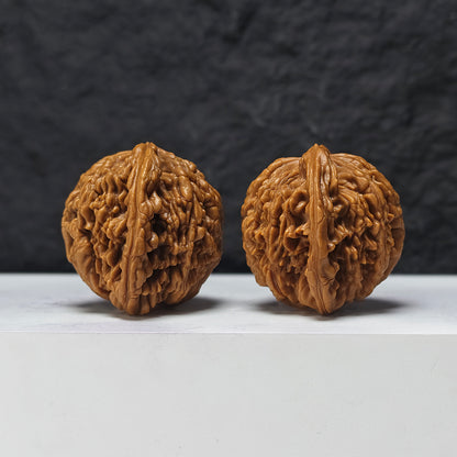 "Lion Tiger Beast" Shi Hu Shou HT-SSSS-001884 Supreme Masterpiece Wenwan Walnuts Pair | 46.0mm x 42.0mm | HT-SSSS-001884