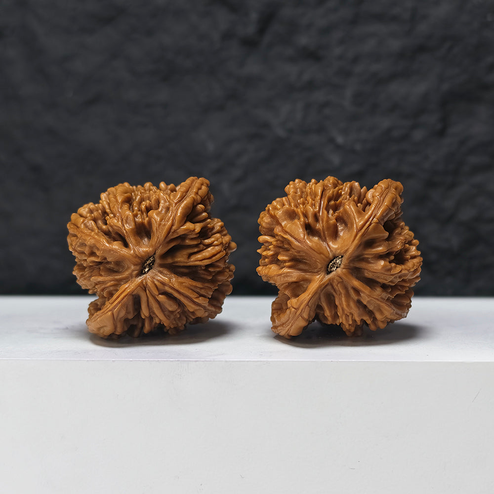 "Lion Tiger Beast" Shi Hu Shou HT-SSSS-001884 Supreme Masterpiece Wenwan Walnuts Pair | 46.0mm x 42.0mm | HT-SSSS-001884