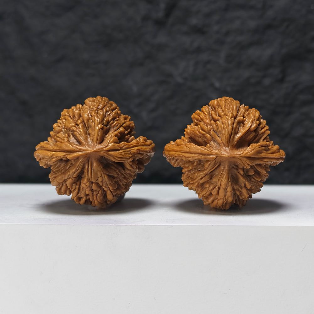 "Lion Tiger Beast" Shi Hu Shou HT-SSSS-001884 Supreme Masterpiece Wenwan Walnuts Pair | 46.0mm x 42.0mm | HT-SSSS-001884