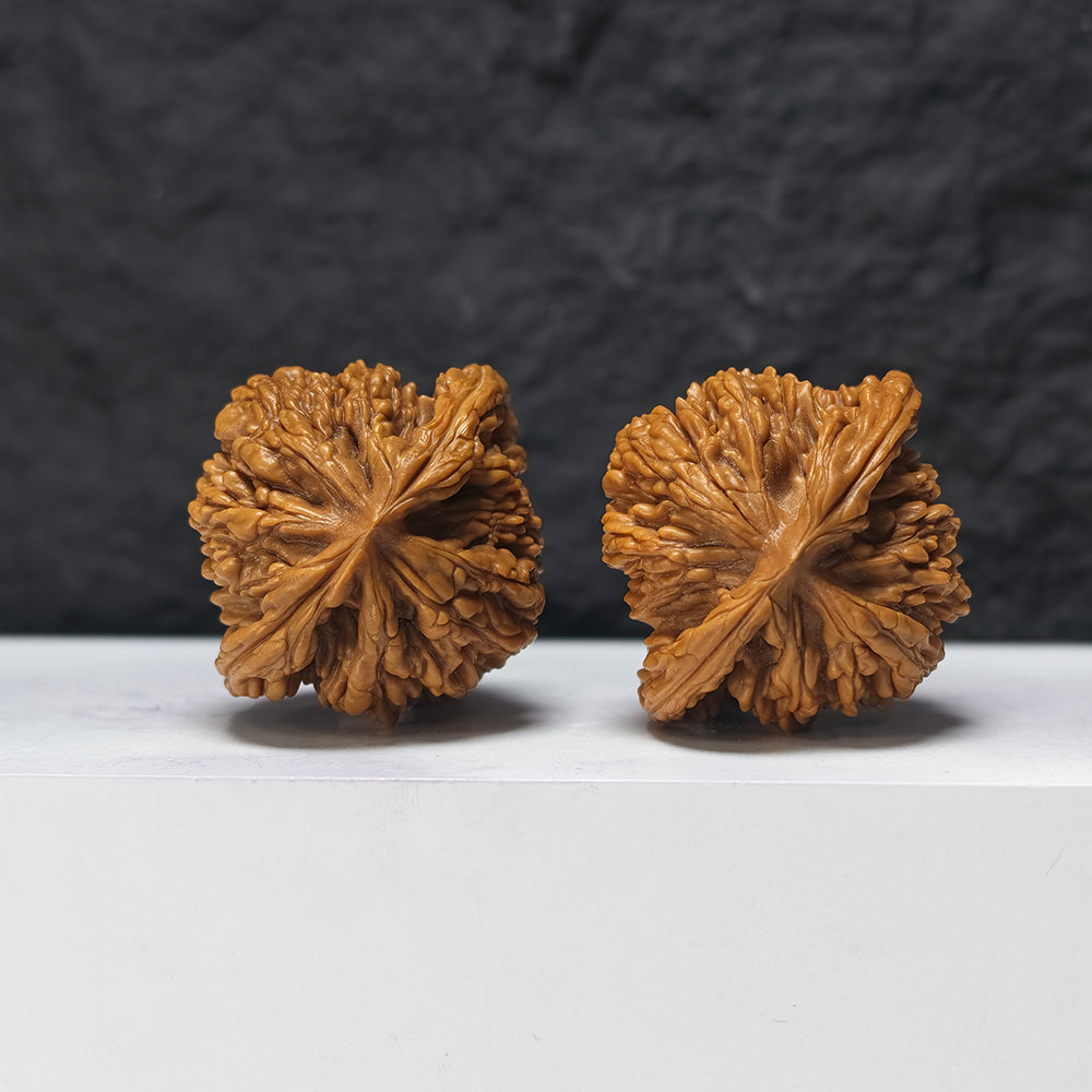 "Lion Tiger Beast" Shi Hu Shou HT-SSSS-001884 Supreme Masterpiece Wenwan Walnuts Pair | 46.0mm x 42.0mm | HT-SSSS-001884