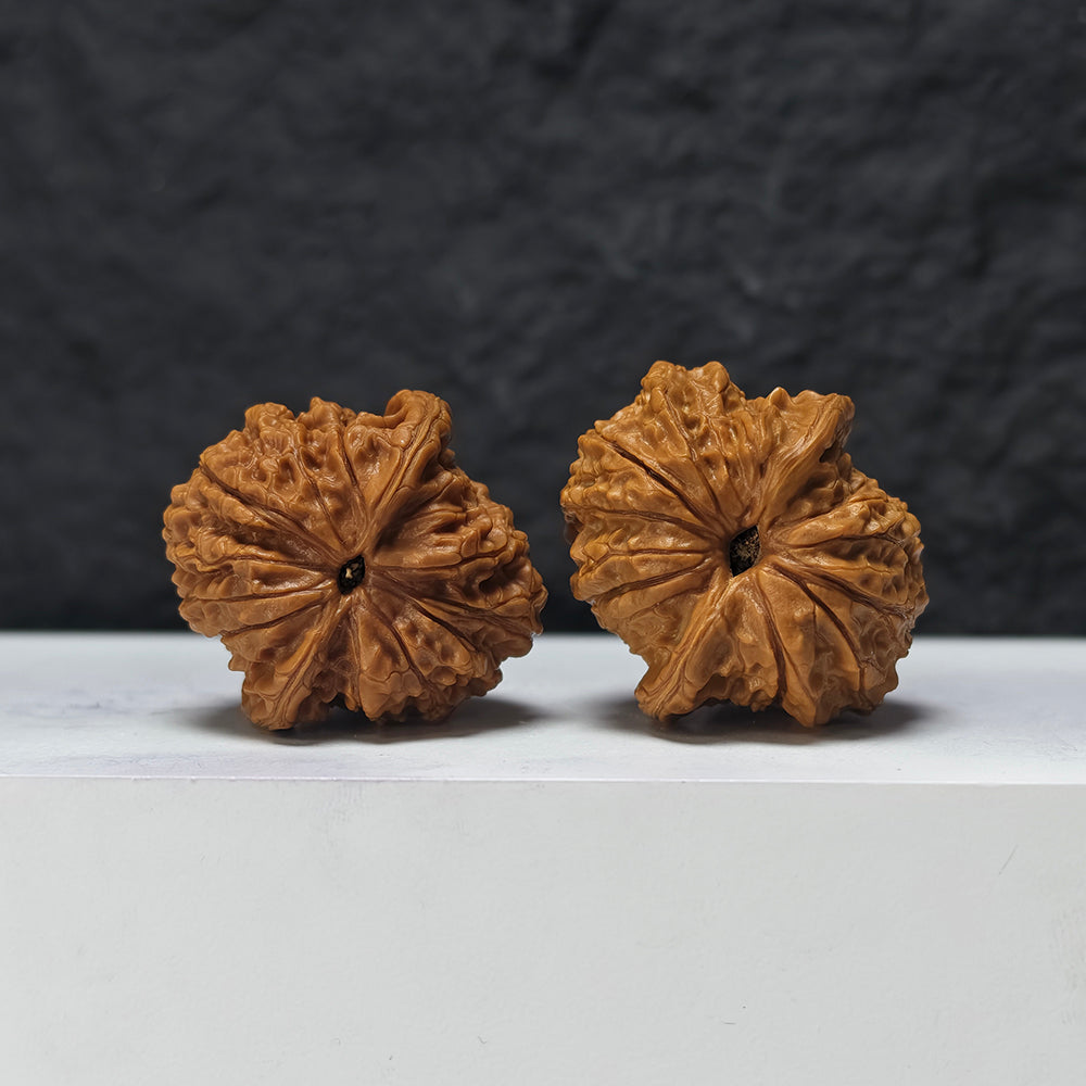 "Millstone" Mo Pan MP-A-010882 Entry Select Wenwan Walnuts Pair | 40.0mm x 42.0mm | MP-A-010882