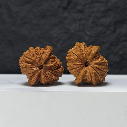 "Millstone" Mo Pan MP-A-010882 Entry Select Wenwan Walnuts Pair | 40.0mm x 42.0mm | MP-A-010882
