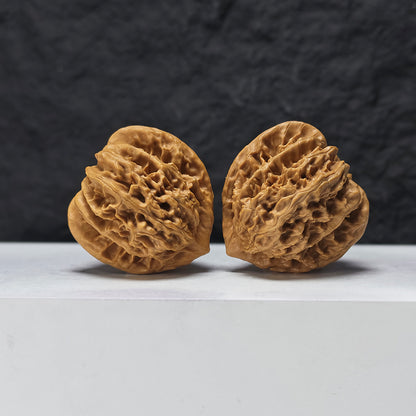"Peach Heart Coiled Dragon Tiger Head" Tao Xin Pan Long Hu Tou HT-S-004944 Collector Wenwan Walnuts Pair | 41.0mm x 40.0mm | HT-S-004944