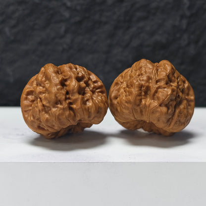 "Toad Head" Ha Ma Tou HMT-SS-004913 Masterpiece Wenwan Walnuts Pair | 41.0mm x 44.0mm | HMT-SS-004913