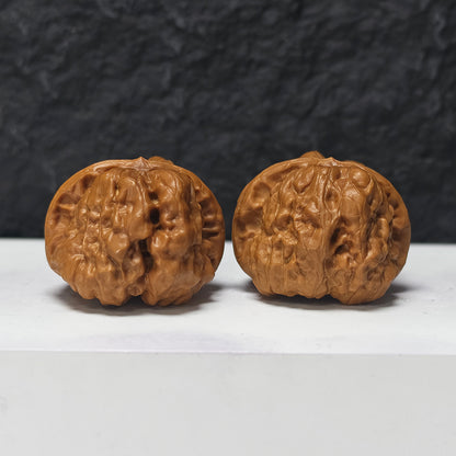 "Toad Head" Ha Ma Tou HMT-SS-004913 Masterpiece Wenwan Walnuts Pair | 41.0mm x 44.0mm | HMT-SS-004913
