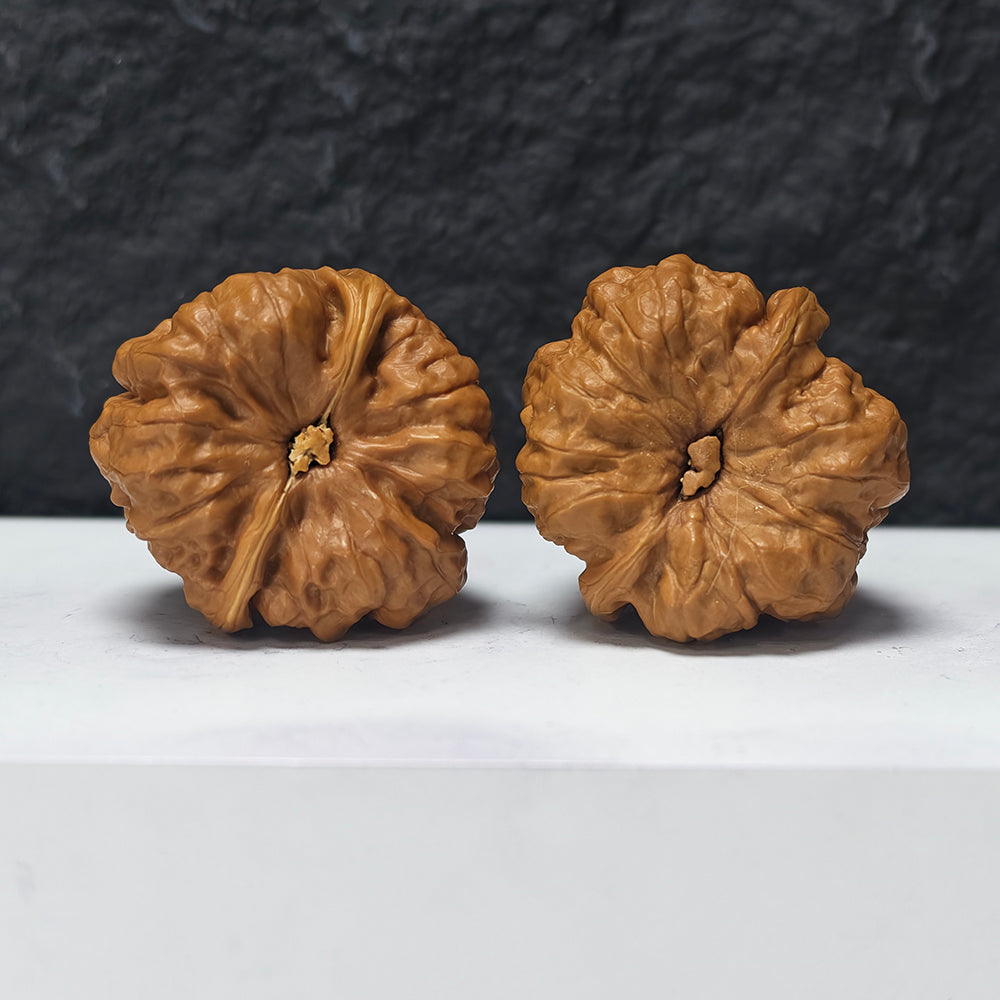 "Toad Head" Ha Ma Tou HMT-SS-004913 Masterpiece Wenwan Walnuts Pair | 41.0mm x 44.0mm | HMT-SS-004913