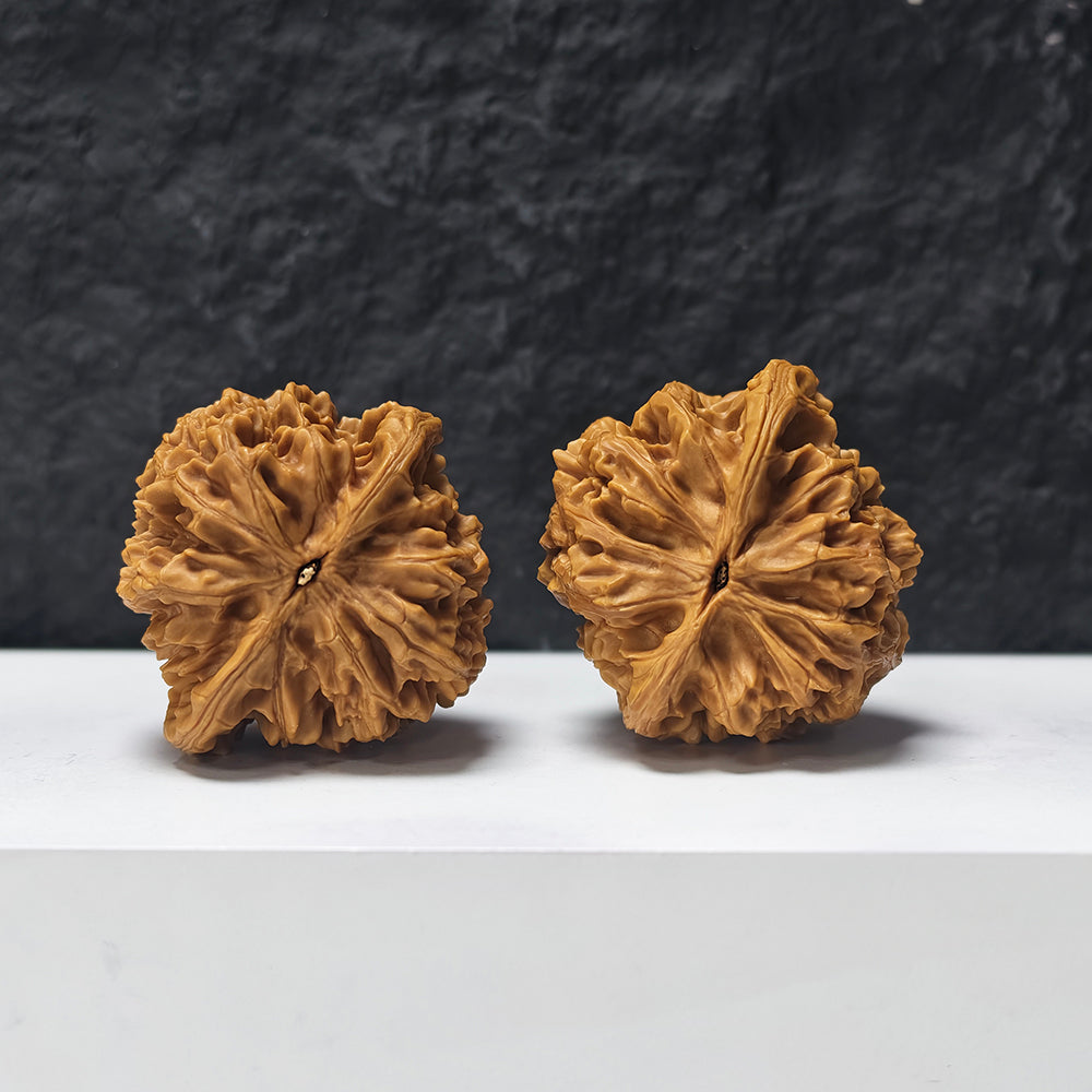 "Beijing Chicken Heart - Condor" Beijing Ji Xin Zuo Shan Diao YX-E-177921 Collector Wenwan Walnuts Pair | 47.0mm x 45.0mm | YX-E-177921