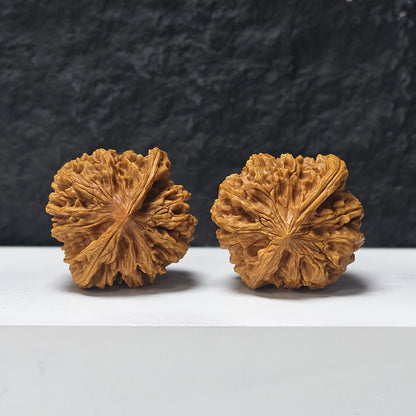 "Beijing Chicken Heart - Condor" Beijing Ji Xin Zuo Shan Diao YX-E-177921 Collector Wenwan Walnuts Pair | 47.0mm x 45.0mm | YX-E-177921