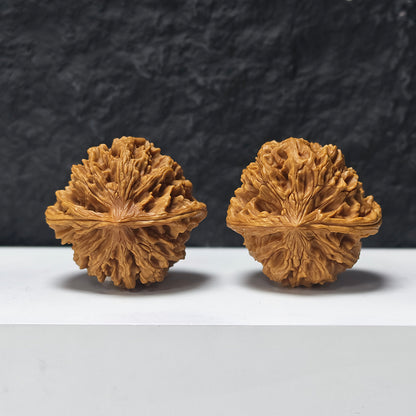 "Beijing Chicken Heart - Condor" Beijing Ji Xin Zuo Shan Diao YX-E-177921 Collector Wenwan Walnuts Pair | 47.0mm x 45.0mm | YX-E-177921
