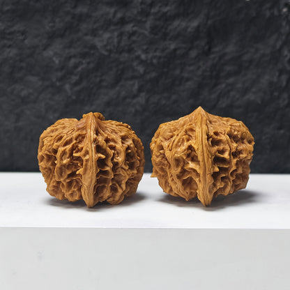 "Beijing Chicken Heart - Condor" Beijing Ji Xin Zuo Shan Diao YX-E-177921 Collector Wenwan Walnuts Pair | 47.0mm x 45.0mm | YX-E-177921