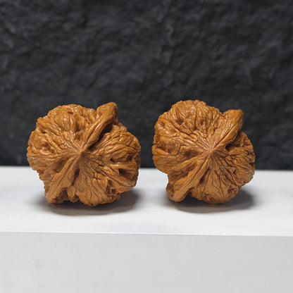 "North China General's Shoulders - Condor" Hua Bei Jiang Jun Pang Zuo Shan Diao YX-E-176907 Collector Wenwan Walnuts Pair | 42.0mm x 42.0mm | YX-E-176907