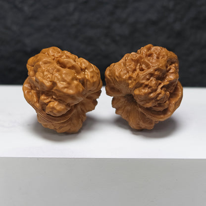 "Toad Head" Ha Ma Tou HMT-SS-003897 Masterpiece Wenwan Walnuts Pair | 40.0mm x 45.0mm | HMT-SS-003897