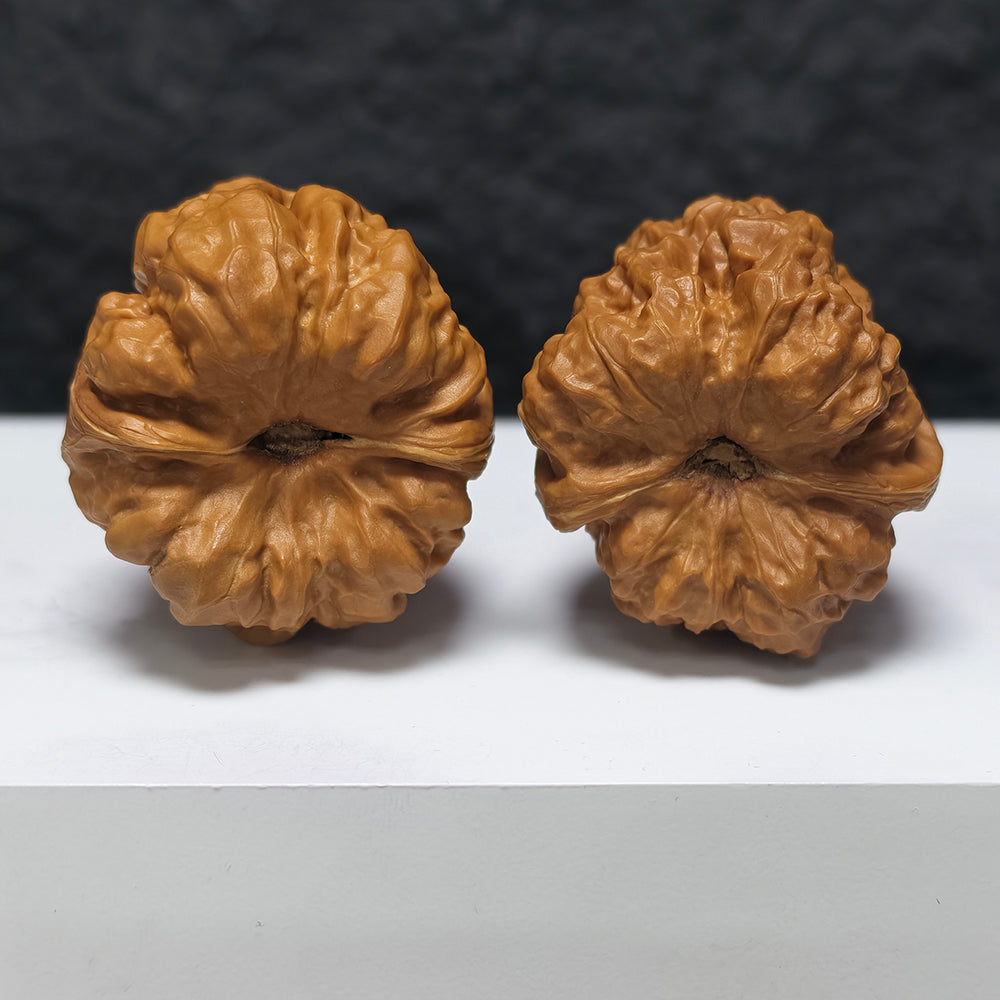 "Toad Head" Ha Ma Tou HMT-SS-003897 Masterpiece Wenwan Walnuts Pair | 40.0mm x 45.0mm | HMT-SS-003897