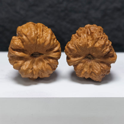 "Toad Head" Ha Ma Tou HMT-SS-003897 Masterpiece Wenwan Walnuts Pair | 40.0mm x 45.0mm | HMT-SS-003897