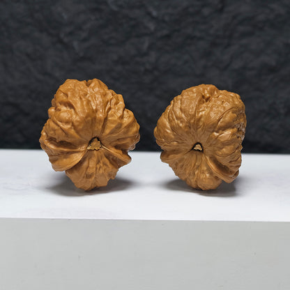 "Awakening Lion - Poison Dart Frog" Xing Shi Jian Du Wa YX-E-174879 Collector Wenwan Walnuts Pair | 37.0mm x 41.0mm | YX-E-174879